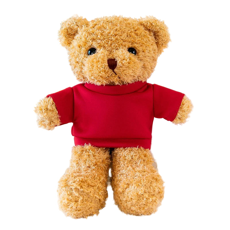 30Cm Cute Wearing Sweater Teddy Bear Plush Toy Adorable Stuffed Animal with Soft Teddy Bear Perfect Gift for Girlfriend and Kids